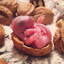 A Man Adopted A Baby Squirrel He Found On His Bed And It's The Most Adorable Story We Read Today