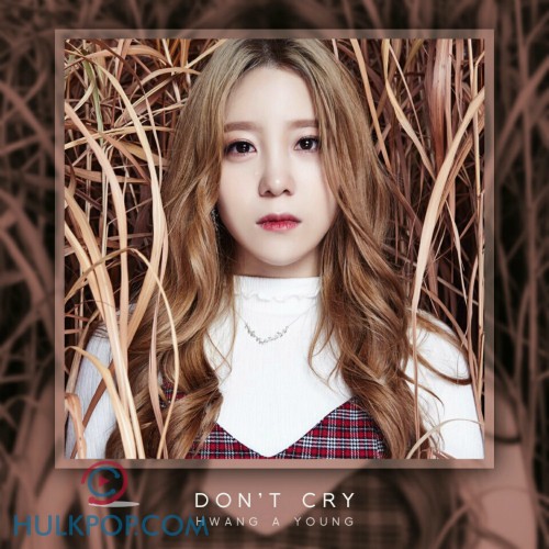 Hwang A Young – Don`t Cry – Single