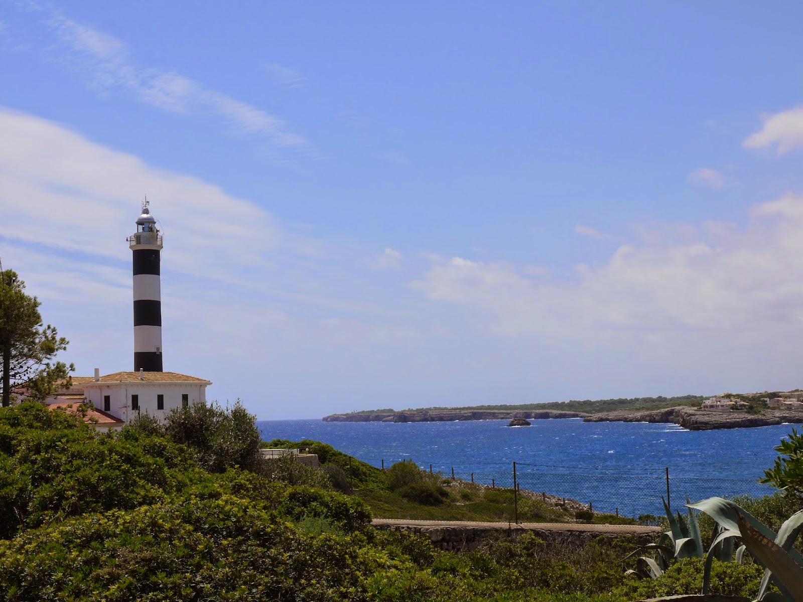 Vintique Tree 2014 yearly round up