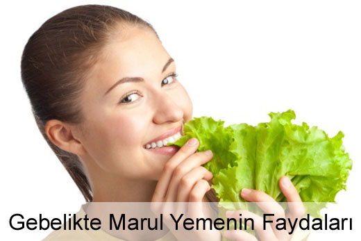 Gebelikte Marul Yemenin Faydaları Gebelikte Marul Faydaları