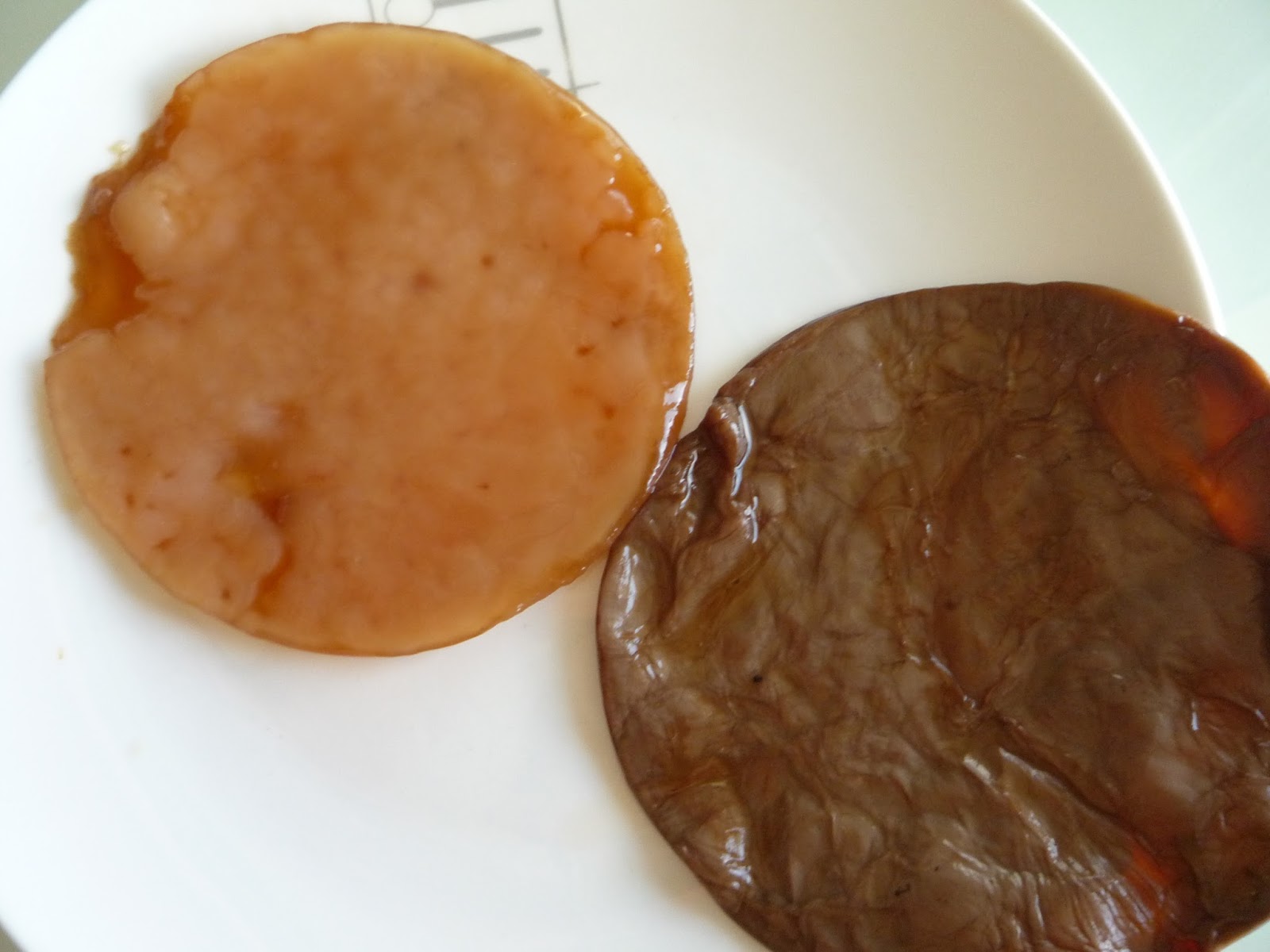 Winged Snail Kombucha Drying SCOBY