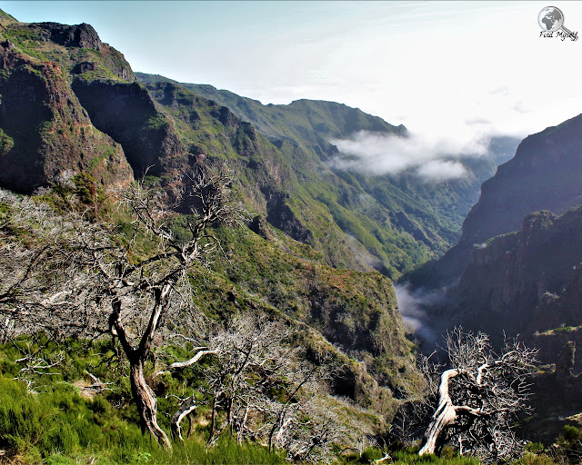 Pico Ruivo, Madera