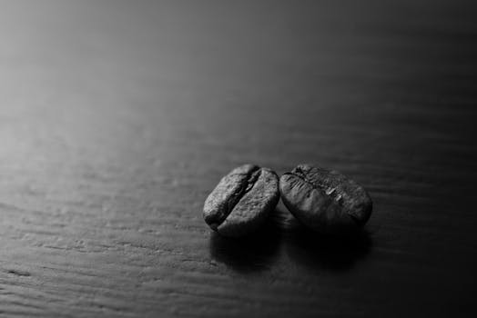 Bohnen zur Erinnerung an das Glück | Arthurs Tochter kocht. von Astrid Paul Bohnen zur Erinnerung an das Glück | Arthurs Tochter kocht. von Astrid Paul