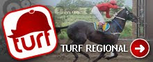 TURF REGIONAL