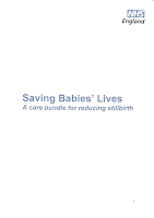 "Saving Babies' Lives" document cover