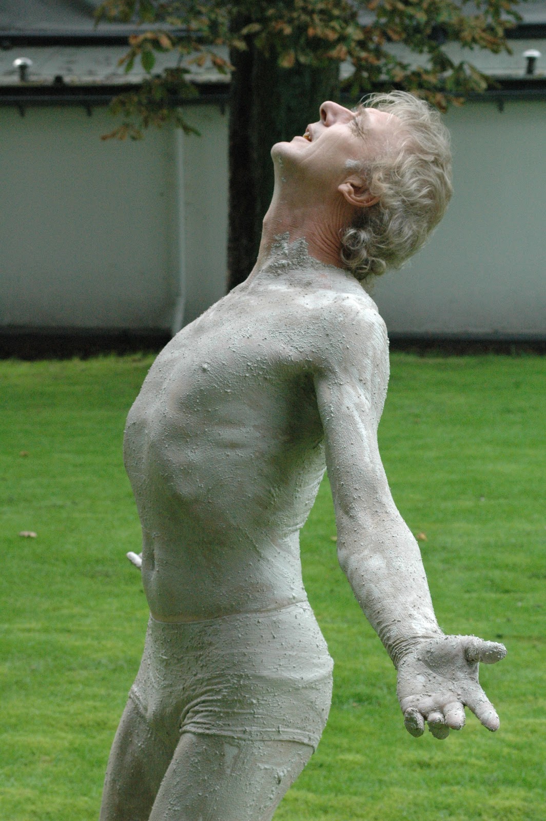 Sjoerd schwibettus