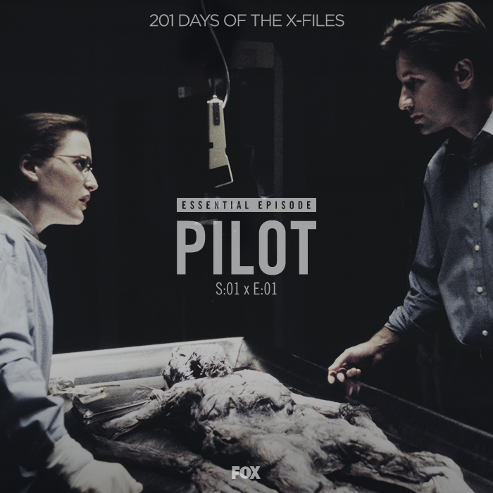 first footage of the x files mini series x files fan club