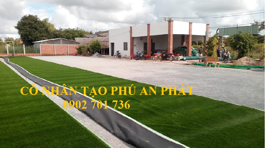 cỏ nhân tạo sân bóng