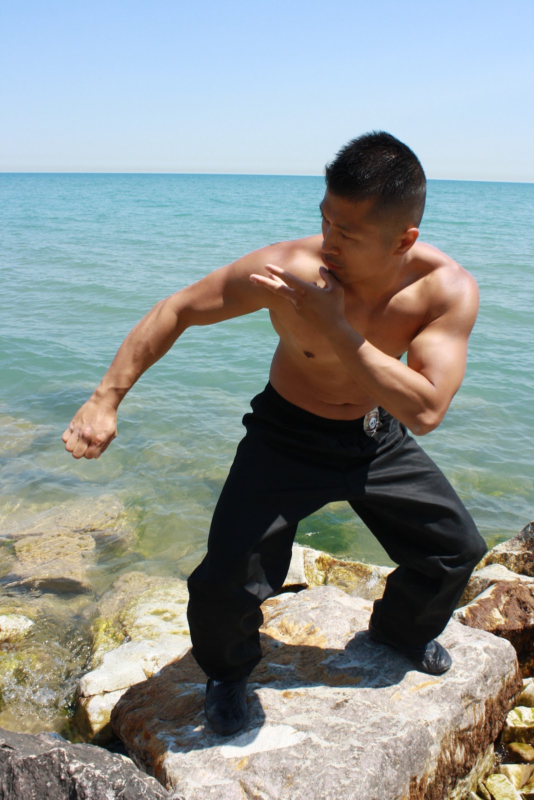 Tao of Freddie's Modern Kung Fu The Basics of all Martial Arts is Fitness