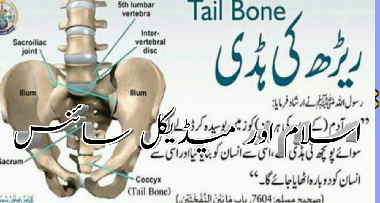 Islam and Medical Science?Tail Bone? Expalned in Urdu