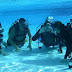 Perbedaan Sekolah Scuba Diving SSI dengan Padi dan NAUI