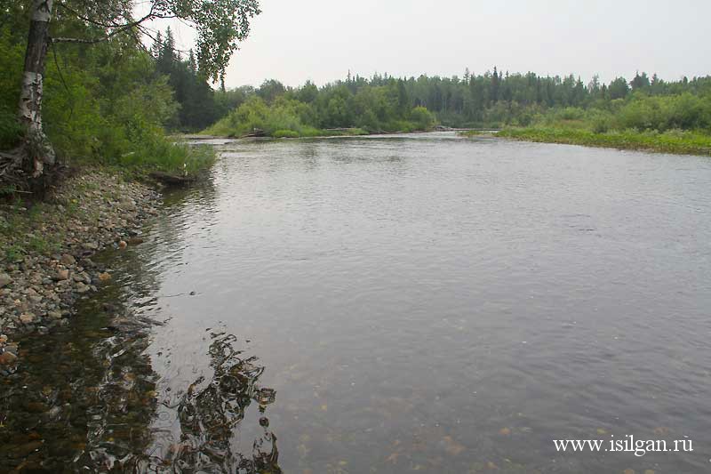 Река Северная Тошемка (Томпусум). Свердловская область.