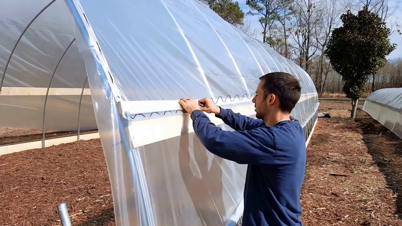 Tips Pemasangan Plastik UV yang Baik dan Benar untuk Greenhouse Lim