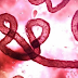 Child Killing Virus Hits Sri Lanka
