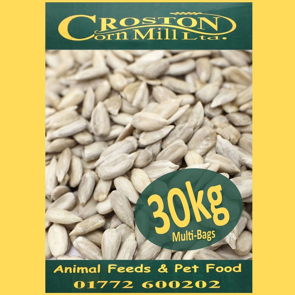 Bird In Everything Types Of Bird Seeds