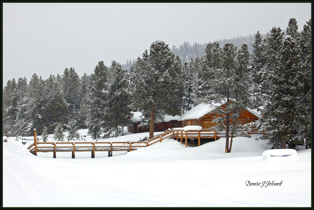 Colorado in Color Tin Cup