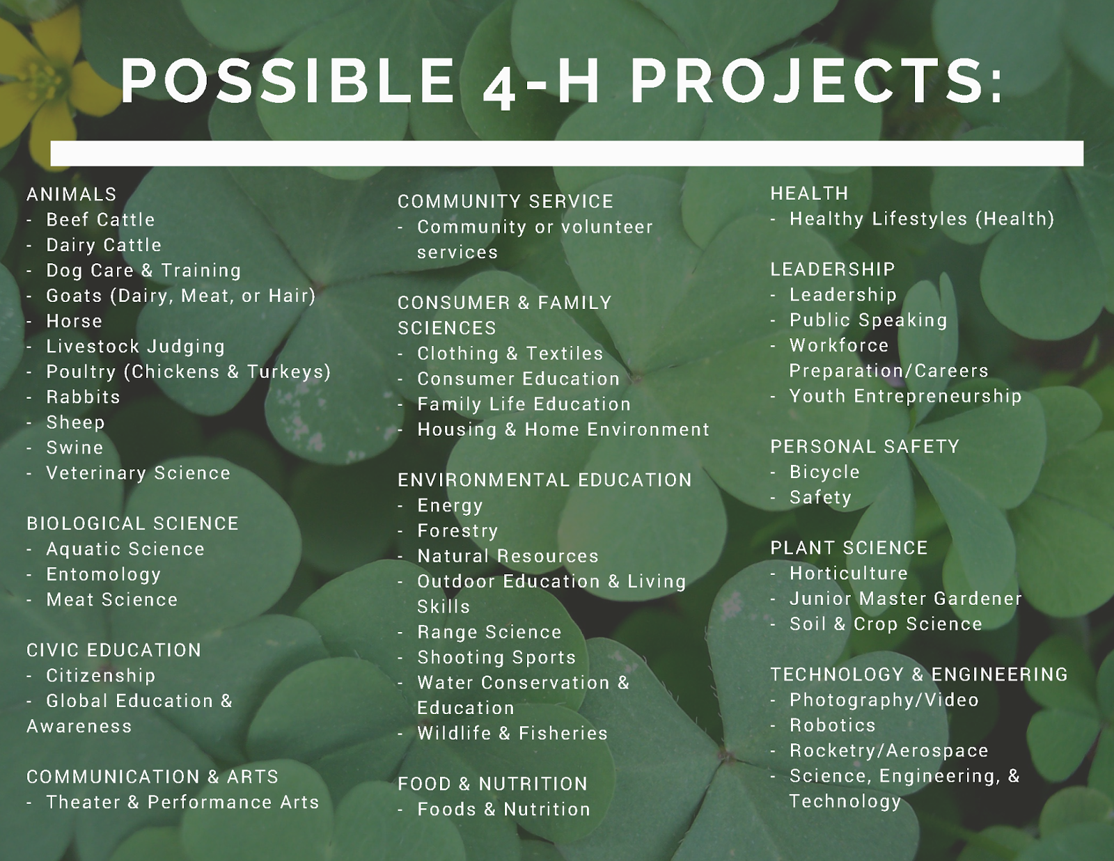 Travis county 4 h