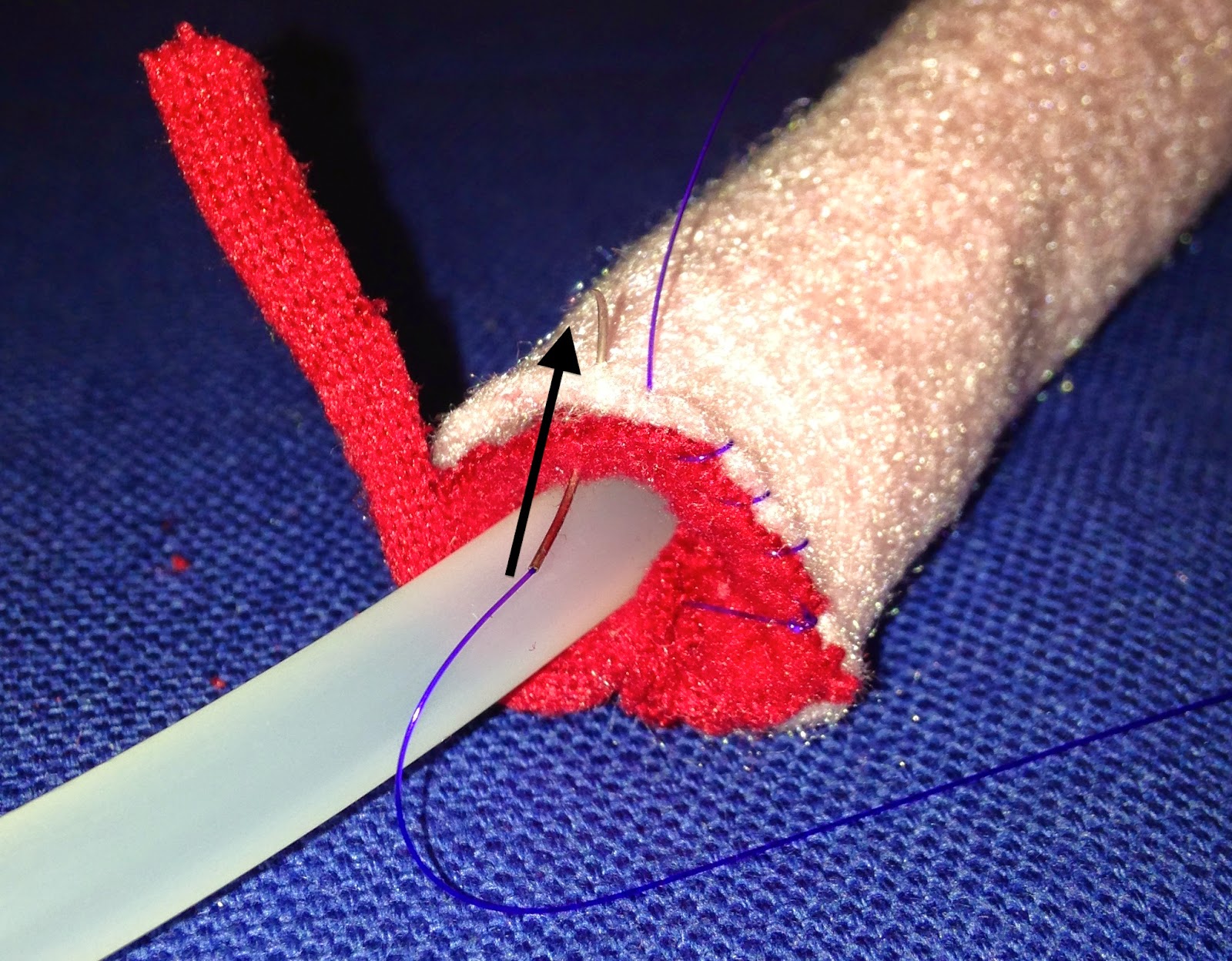 Prolapso uretral en perros por qué sucede y cómo solucionarlo