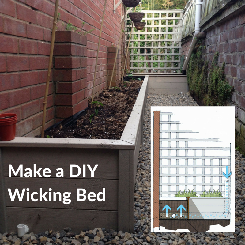 The benefits of planting in a wicking bed