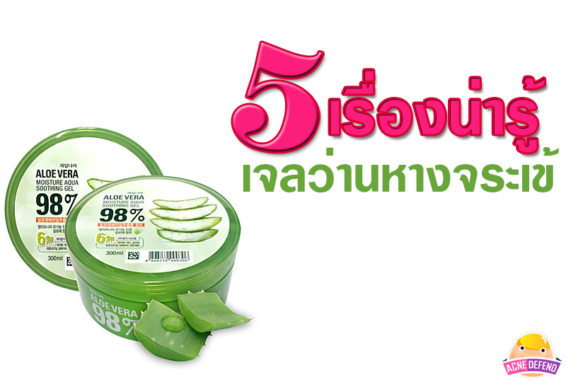 5 เรื่องน่ารู้ของเจลว่านหางจระเข้ 5 เรื่องน่ารู้ของเจลว่านหางจระเข้