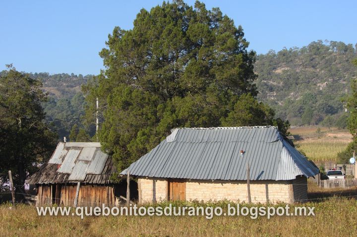 Qué bonito es Durango: Llano Grande, Mezquital, Dgo.