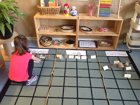Wonders in Kindergarten: What do living things need? How do we know it