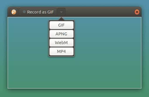gifcam portable