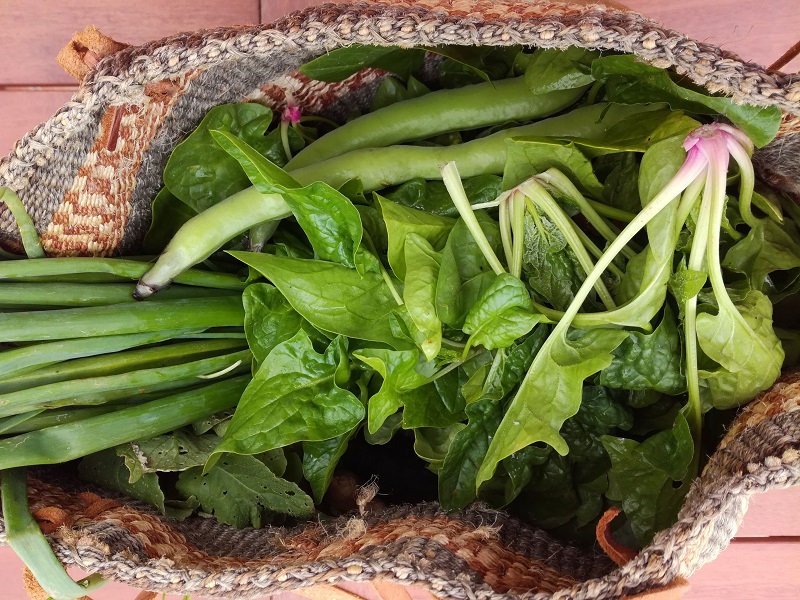 Spesa al mercato, verdura bio