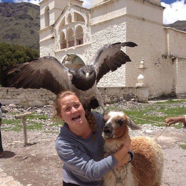 Picdump-Ritemail-042.jpg