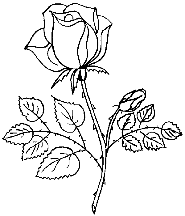 una classe coloring pages of a rose - photo #11