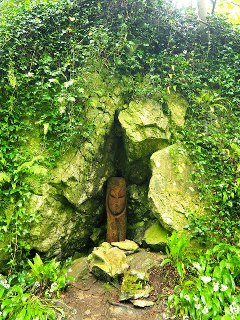 Fern Garden, Blarney Castle, County Cork, Ireland