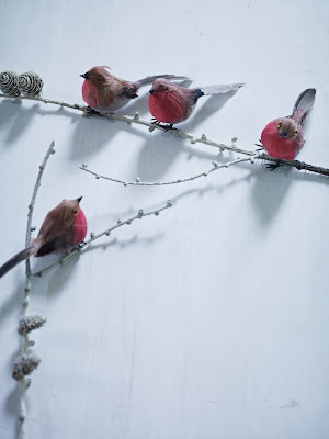 Зимнее волшебство от Cox&Cox;