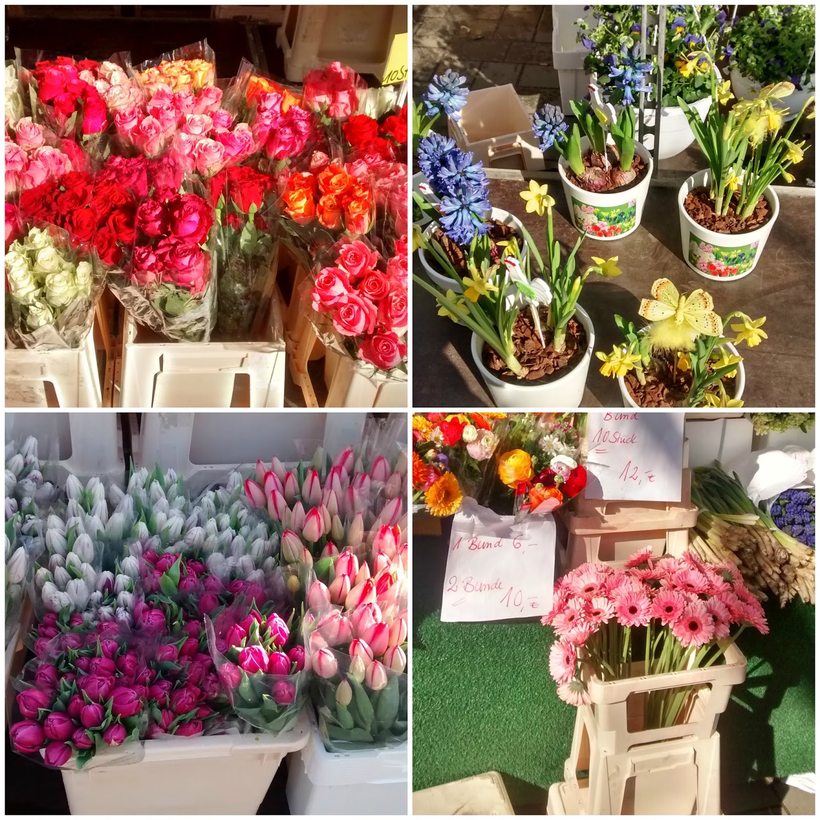 The Berlin Diaries 2 Berlin Zoo, KaDeWe and Flower Markets The