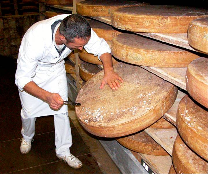 Resultado de imagen para queso comte en el macizo del