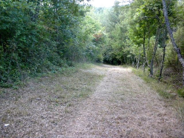 former cart track