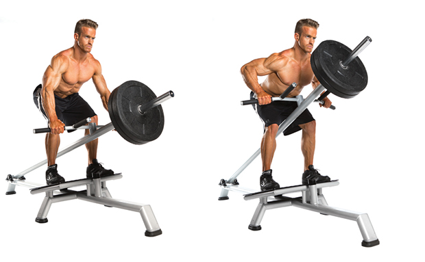 Back Exercise