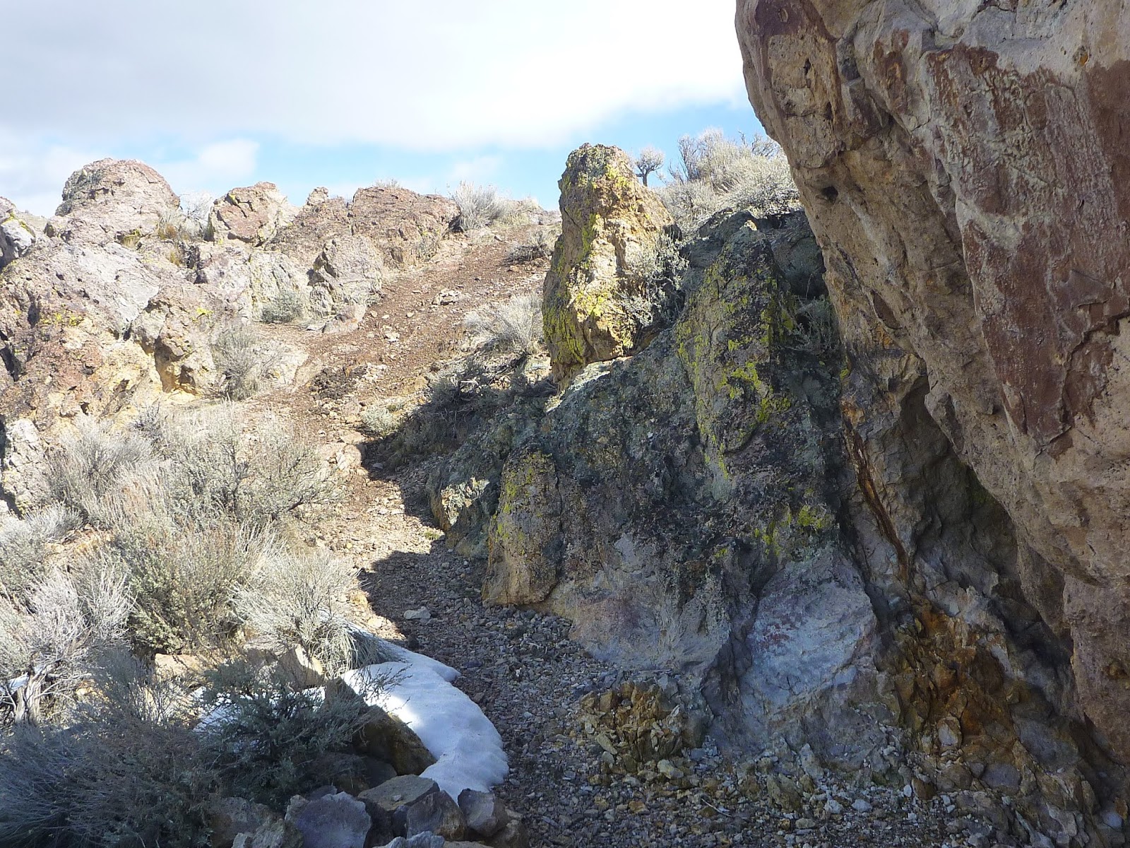 Explore RenoTahoe and beyond Deadman's Creek alive