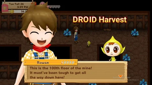 harvest moon friends of mineral town mine