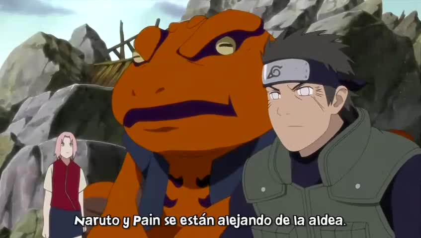 Ver Naruto Shippuden Los dos salvadores - Capítulo 167