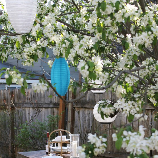 Picnic Table Makeover