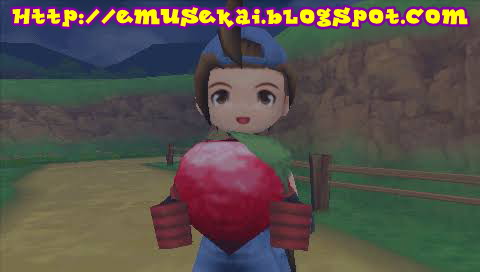 Lokasi Cara Mendapatkan Power Berry Harvest Moon Hero Of Leaf Valley