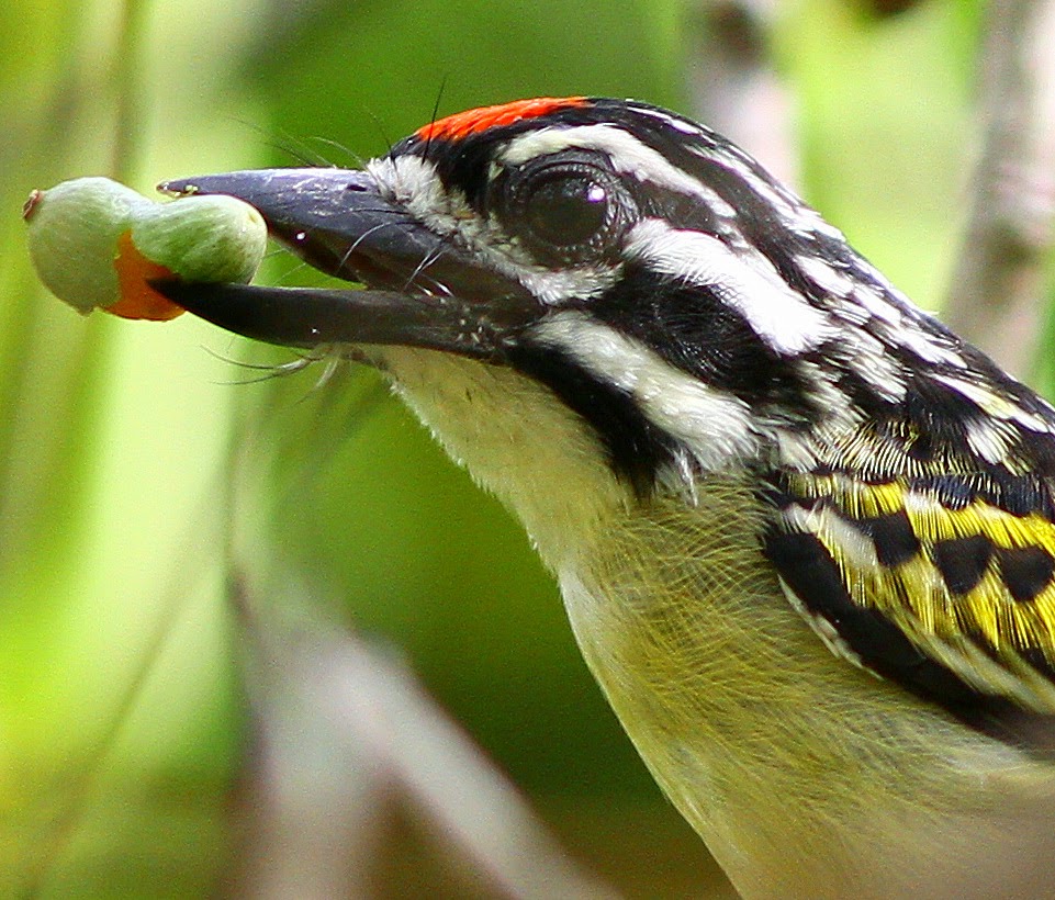 KENYA 2013