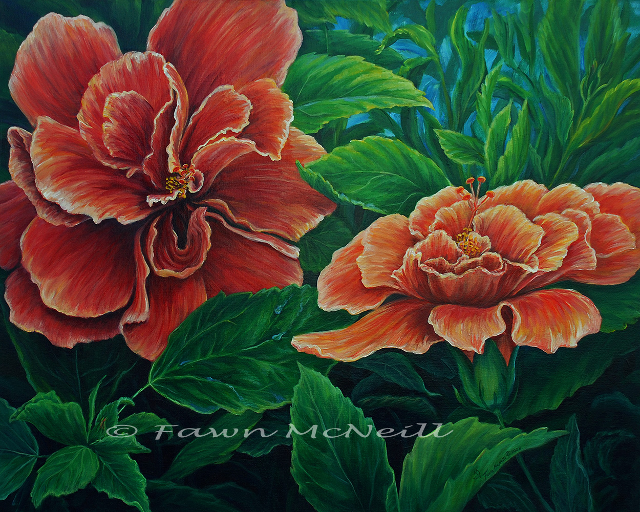 Fawn's Paintings Passion of Flowers, double hibiscus