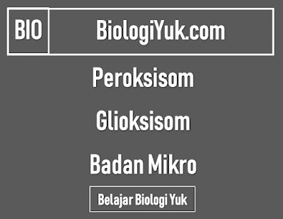 Fungsi Badan Mikro (Peroksisom dan Glioksisom) Fungsi Badan Mikro (Peroksisom dan Glioksisom)