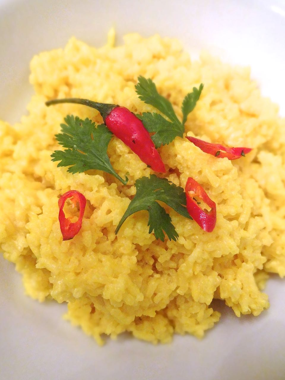 Scrumpdillyicious Indonesian Beef Short Rib Rendang with Coconut Rice