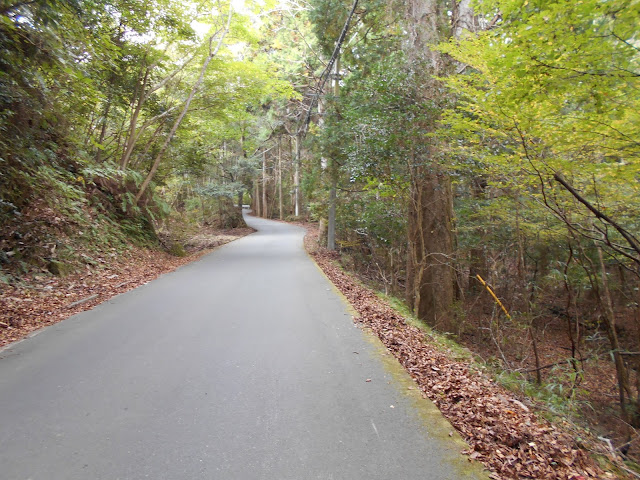 観音温泉へ3Kmの細い道 観音温泉へ3Kmの細い道