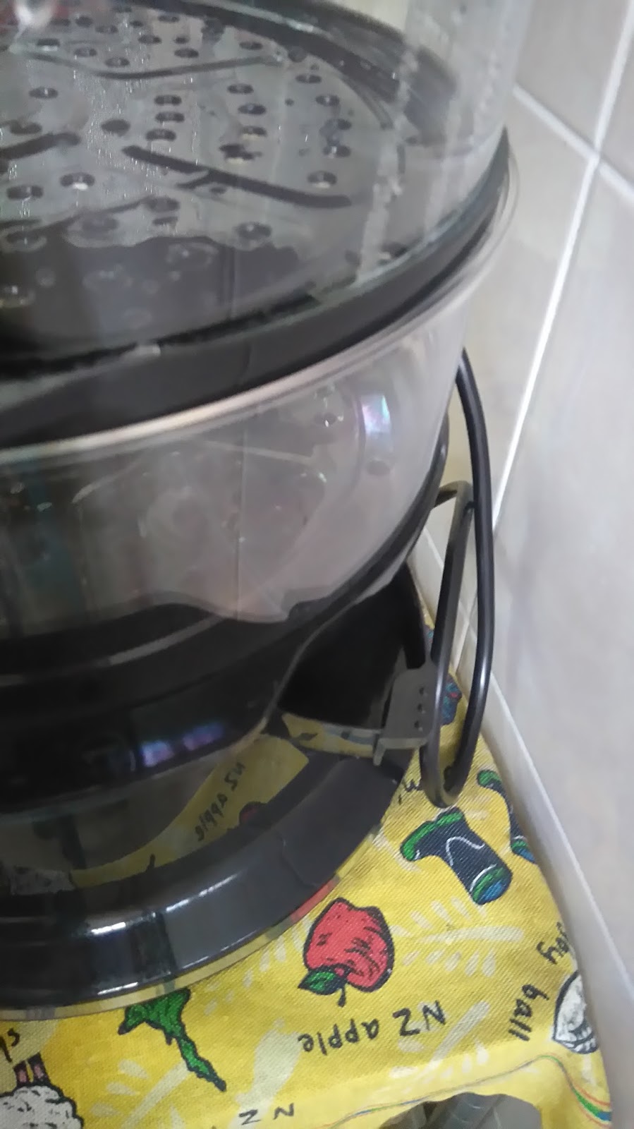 Anne's Product Reviews Blog Tefal Electric Steamer VC1401