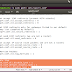 How To Permanently Disable IPV6 Internet Protocol Under Ubuntu 16.04/Linux Mint 18