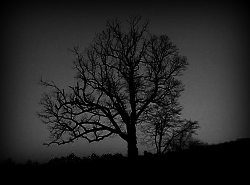 Mid-Atlantic Hauntings and Ghosts: The Devil's Tree -- Somerset County ...