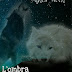 L'OMBRA DEL LUPO BIANCO di Agnes Moon
